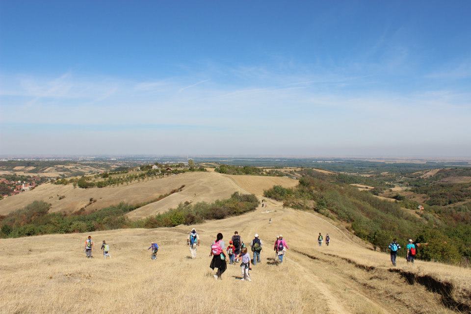 Protestantska Hrišćanska zajednica - PHZ Novi Sad
